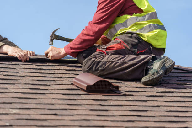 Best Metal Roofing Contractor  in Weldon, NC