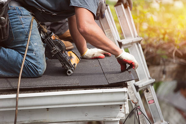Best Roof Maintenance Services  in Weldon, NC